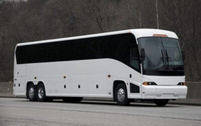 Charter Bus vs. Passenger Van: Which Is Better for Group Travel?