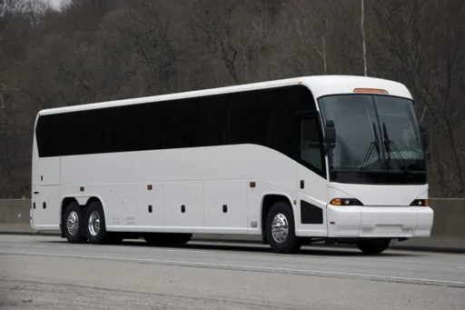 Charter Bus vs. Passenger Van: Which Is Better for Group Travel? 1 charter bus image
